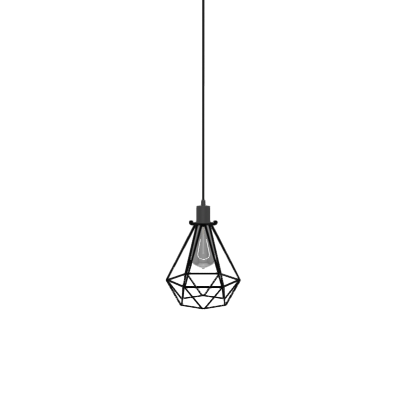 Single Pendant: Black with Edison Smoke Bulb